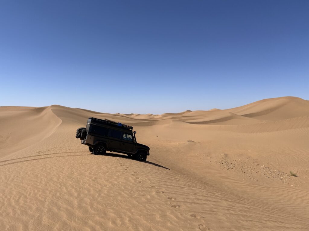 Duis leo. Sed fringilla mauris sit amet nibh. Donec sodales sagittis magna.